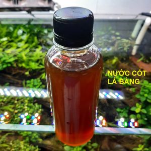 Nước Cốt Lá Bàng Đậm Đặc