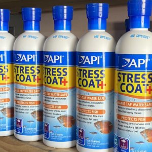 Stress coat giúp cá giảm stress tăng đề kháng