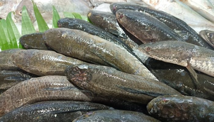 Một vài thắc mắc người đọc cần biết