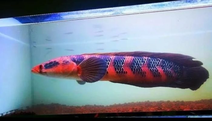 Những bệnh thường gặp và cách điều trị đúng