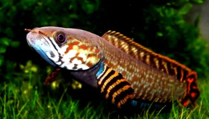 Những lưu ý khi chăm sóc cần nhớ rõ