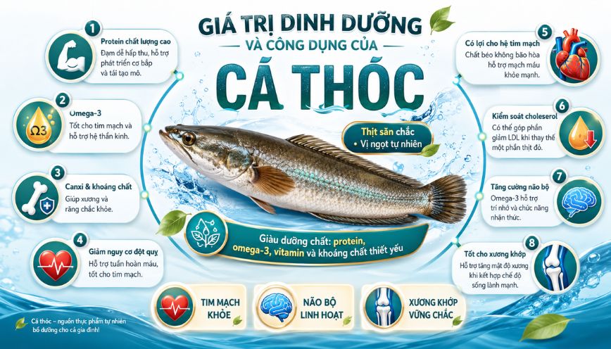 Giá trị dinh dưỡng và công dụng của cá thóc