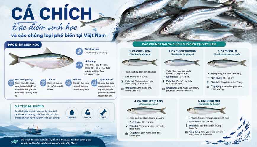 Đặc điểm sinh học và các chủng loại phổ biến tại Việt Nam
