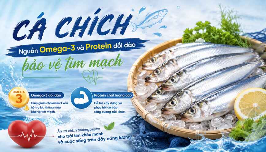 Nguồn Omega-3 và Protein dồi dào bảo vệ tim mạch
