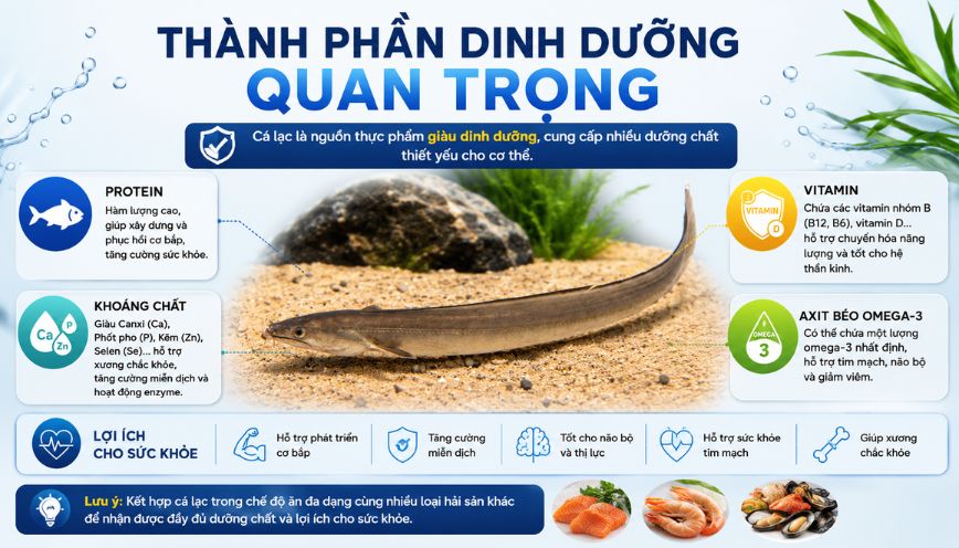 Thành phần dinh dưỡng quan trọng