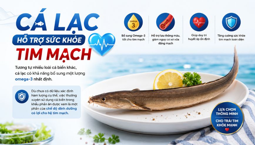 Hỗ trợ sức khỏe tim mạch