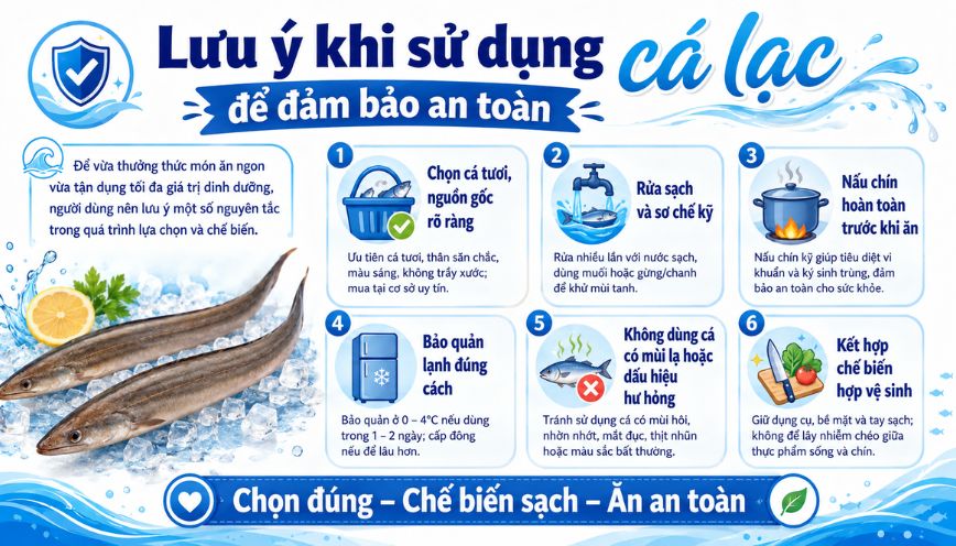 Lưu ý khi sử dụng để đảm bảo an toàn