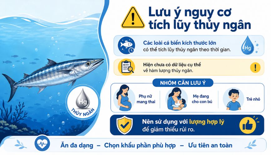 Lưu ý nguy cơ tích lũy thủy ngân