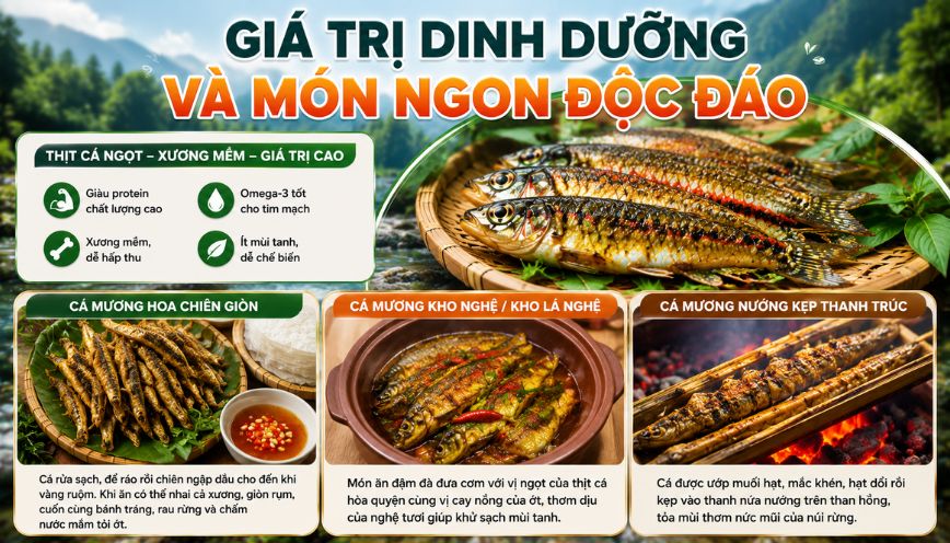 Giá trị dinh dưỡng và món ngon độc đáo
